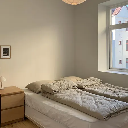 Cozy Scandinavian Design 아파트 베르겐